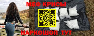 тгк Кингисепп