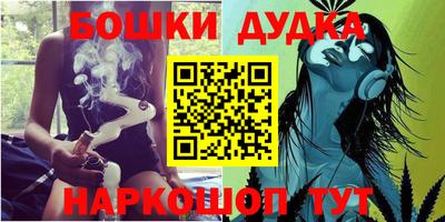 тгк Кингисепп