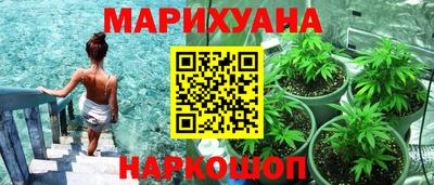 тгк Кингисепп