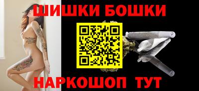 тгк Кингисепп