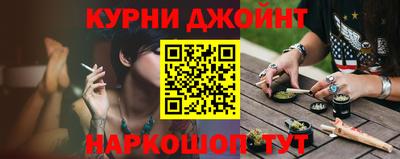 тгк Кингисепп