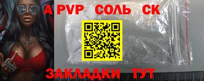 тгк Кингисепп