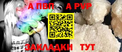 тгк Кингисепп