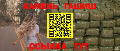 тгк Кингисепп
